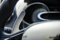 0ap_2729-copia