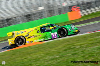 elms-1