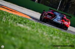 elms-2
