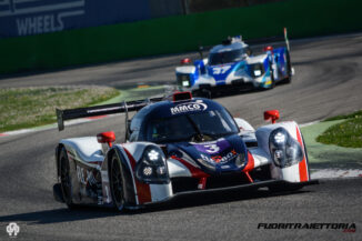 elms-4