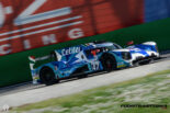 elms-6