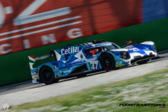 elms-6