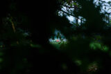 img_9583-27