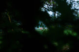 img_9583-27