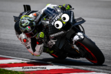 Photogallery MotoGP: ecco le moto più felici in pista a Sepang