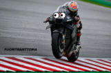 Photogallery MotoGP: ecco le moto più felici in pista a Sepang