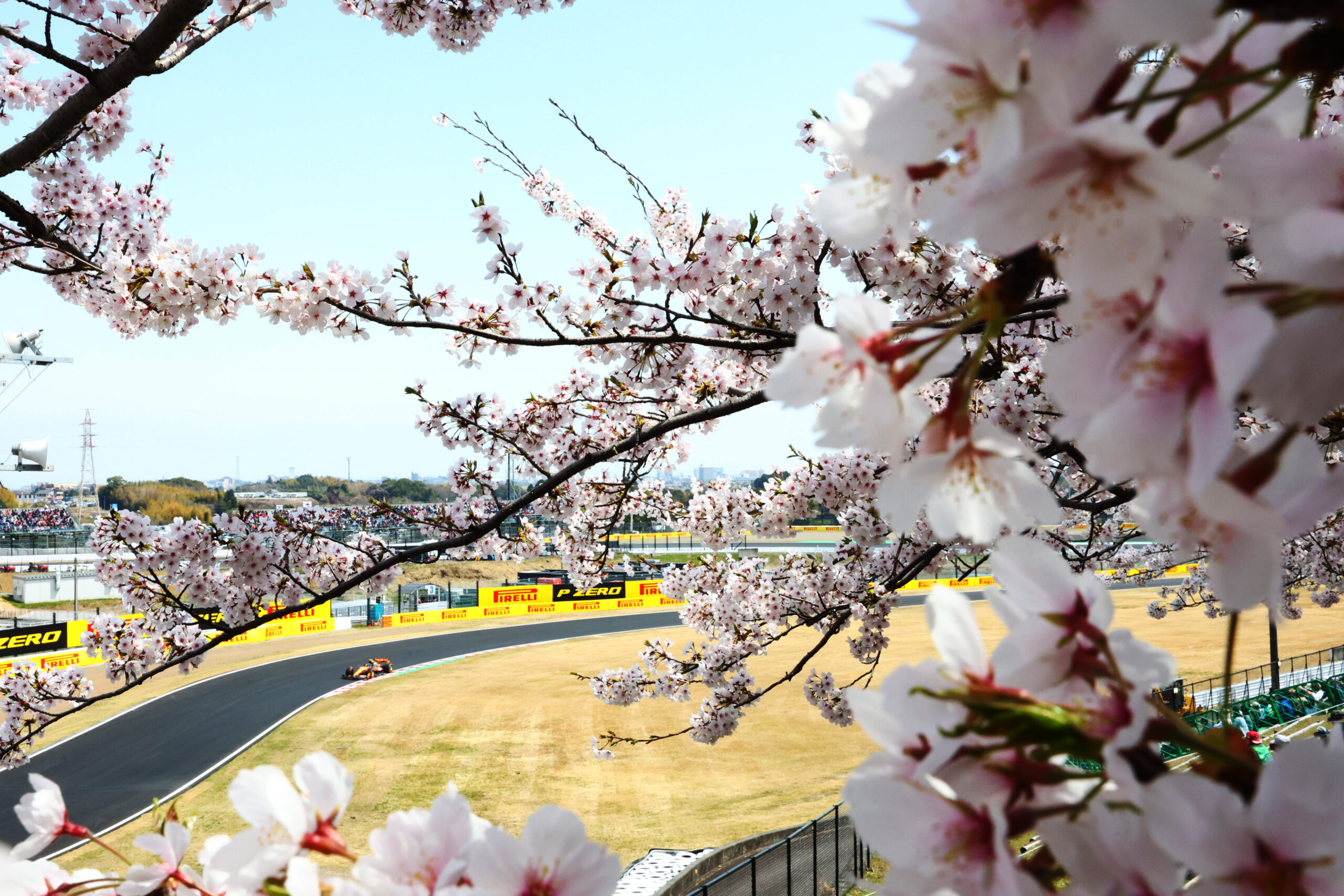 fp3 gp giappone