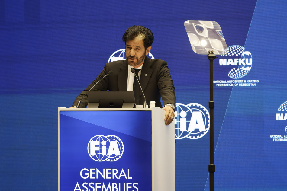 fia sulayem
